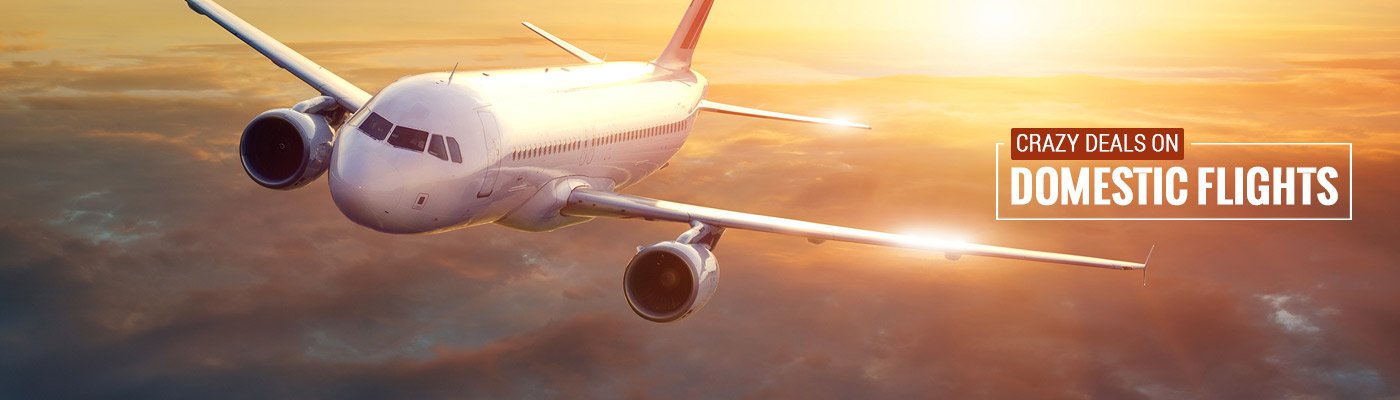 Domestic-Flights