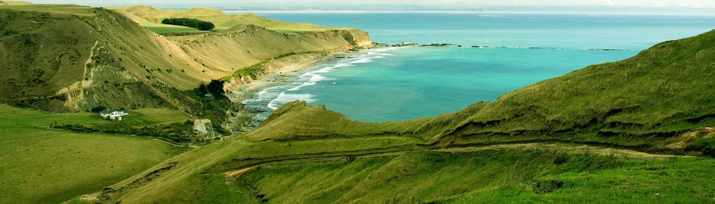 Napier AirFare Deals