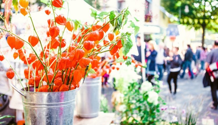 America’s Best Spring Flower Festivals