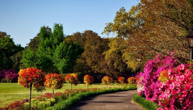 Best Spring Flower Festivals of America